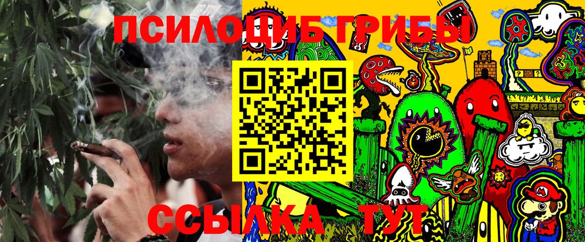 Галлюциногенные грибы ЛСД  Псилоцибиновые грибы мицелий  Вход с VPN  сколько стоит  Нижний Новгород 