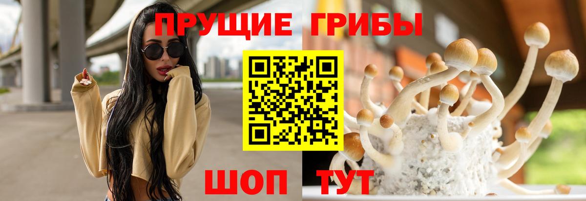 Галлюциногенные грибы мухоморы Нижний Новгород